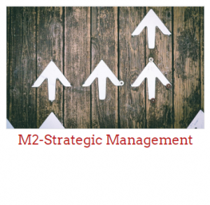 M2 strategic management